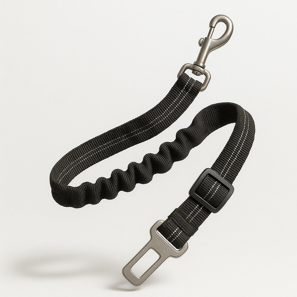 Ceinture de sécurité amortissante pour chien en voiture